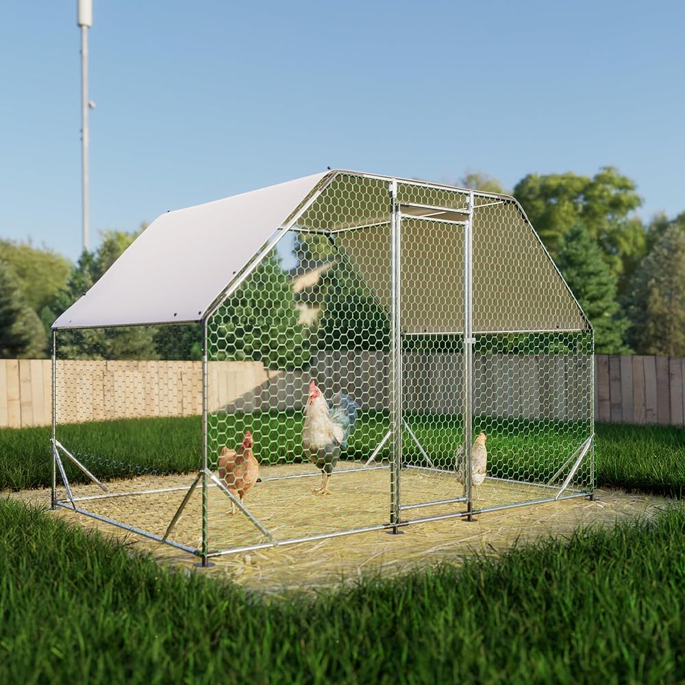 10x6.5-Foot Walk-In Metal Chicken Coop and Poultry Run